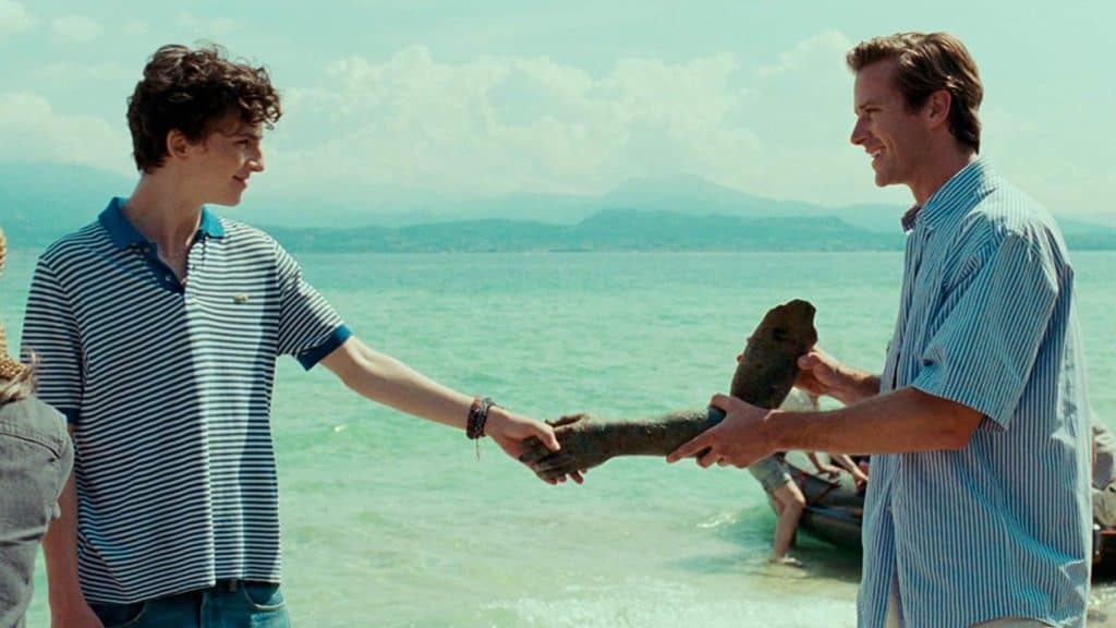 CALL ME BY YOUR NAME Review 2