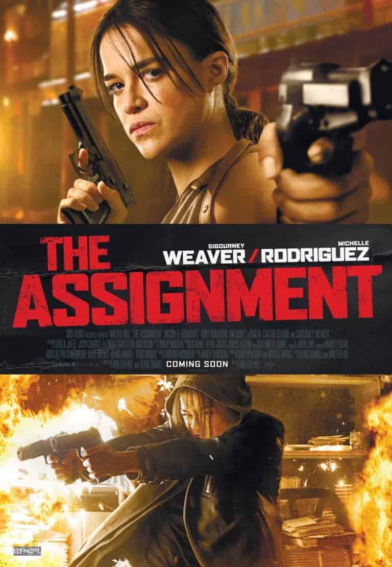 The assignment (2010) image