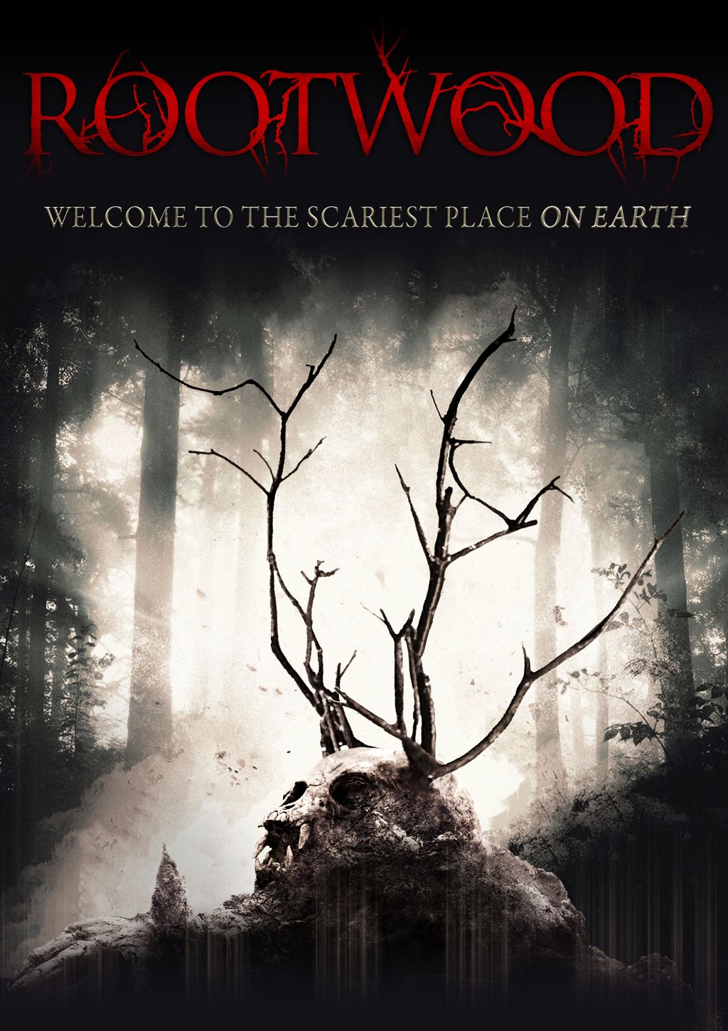 VOD Release Calendar 18 VOD Release Calendar 18